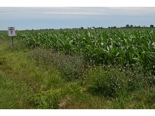 Property photo 130 - LAND AUCTION - 215+/- ACRES OFFERED IN 6 TRACTS IN VAN WERT COUNTY, OHIO